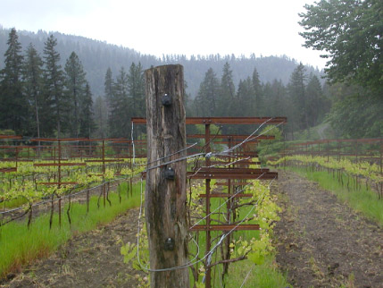 Cabot Vineyards from the Klamath River of Humboldt County