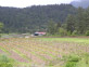 Cabot Vineyards from the Klamath River of Humboldt County