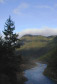 Cabot Vineyards from the Klamath River of Humboldt County