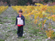 Cabot Vineyards from the Klamath River of Humboldt County